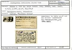 Karteikarte zum Holotyp von Globigerina reticulata Stache, 1864